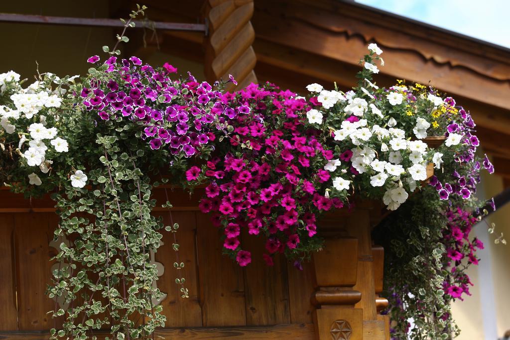Ferienwohnung Alpenecho Neustift im Stubaital Exterior foto